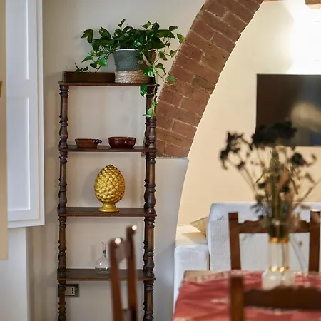 Titti - Large * 锡耶纳